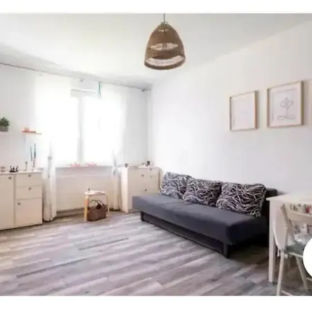 Jana Kazimierza Cozy *